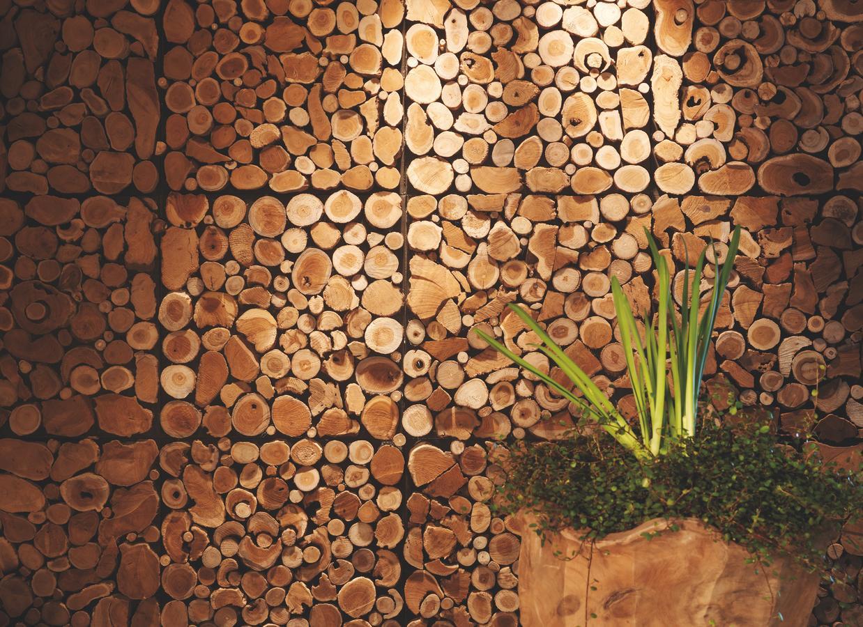 Eco & Wellness Boutique Hotel Sonne Ливиньо Экстерьер фото